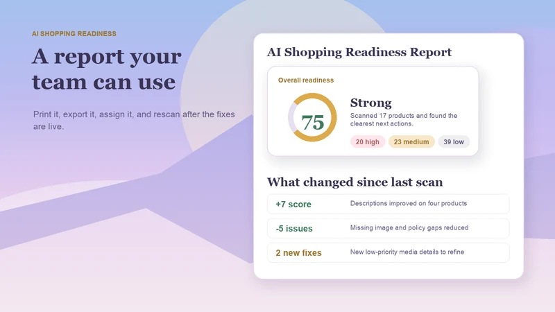 AI Shopping Readiness