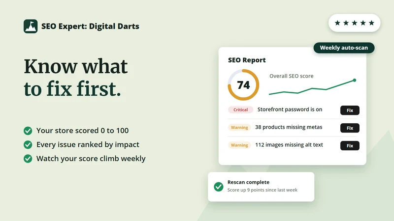 SEO Expert: Digital Darts