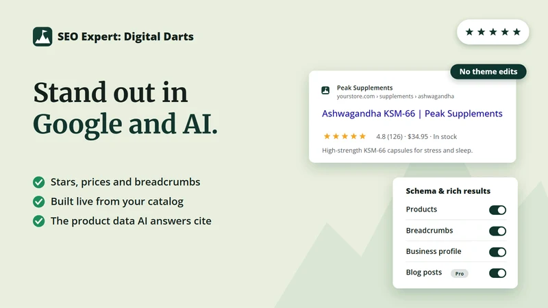 SEO Expert: Digital Darts