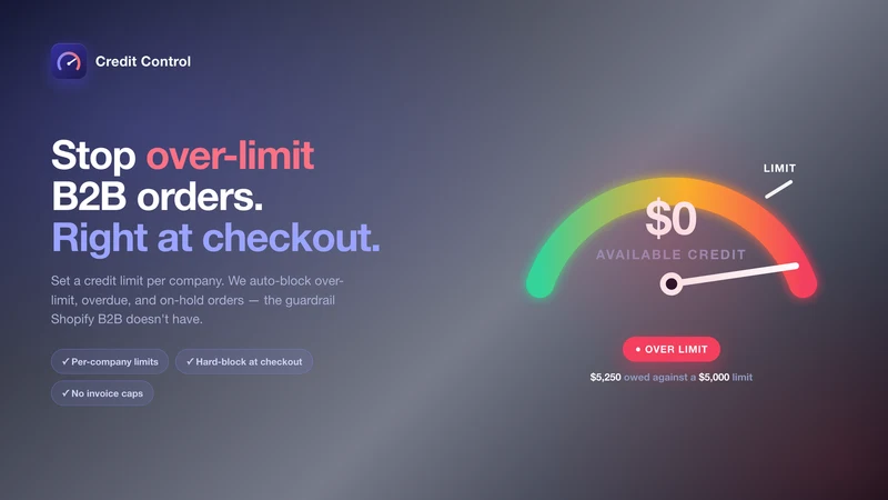 Credit Control for B2B