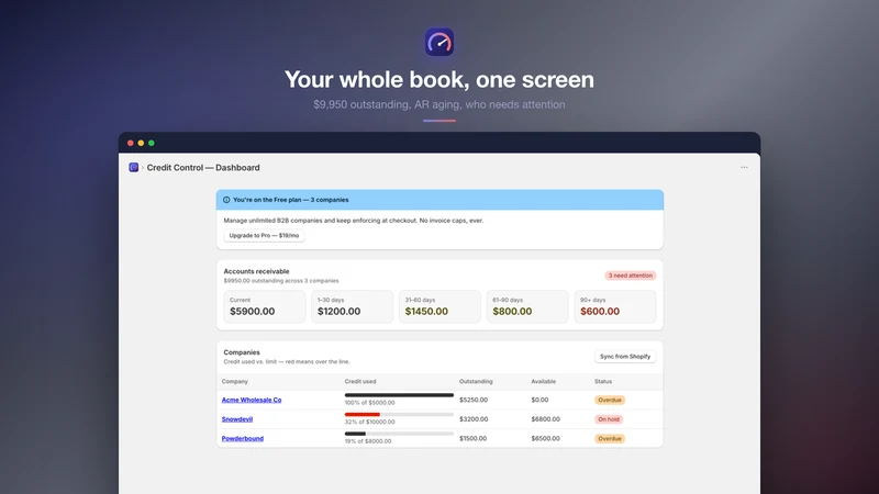 Credit Control for B2B