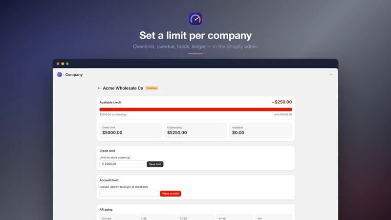 Credit Control for B2B