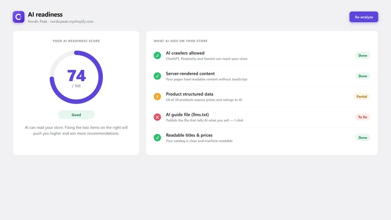 Citely ‑ AI SEO & Visibility
