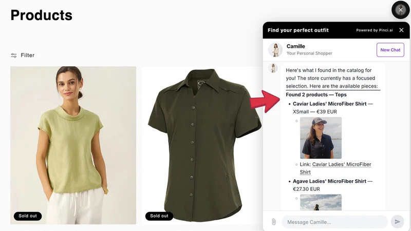 Pinci AI Personal Shopper