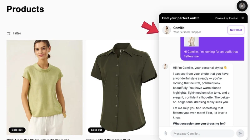 Pinci AI Personal Shopper