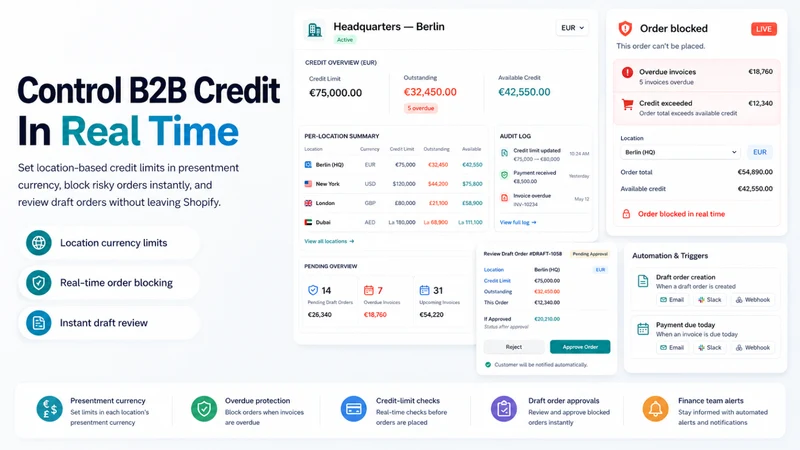 CreditGuard: B2B Credit Limits