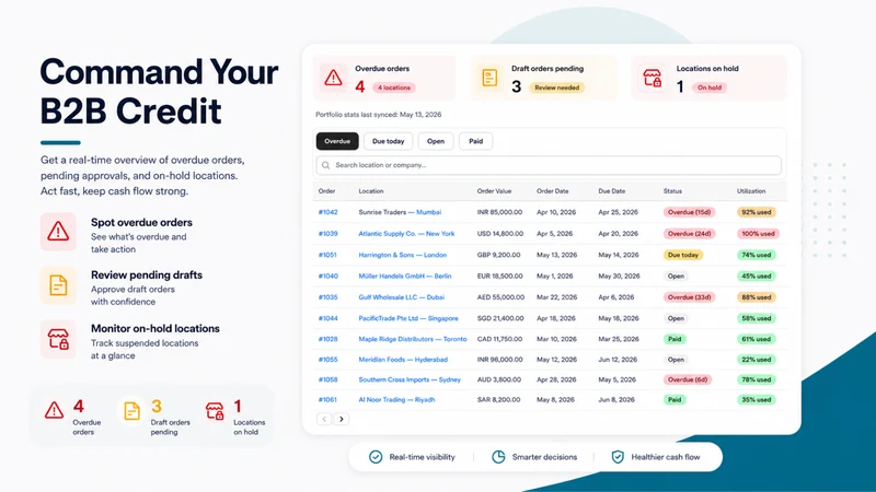 CreditGuard: B2B Credit Limits