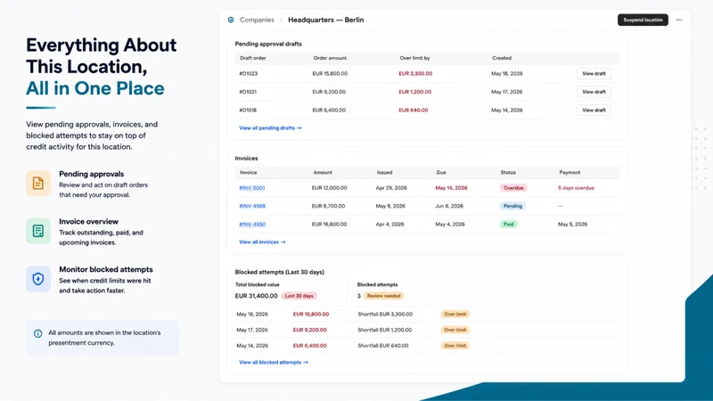 CreditGuard: B2B Credit Limits