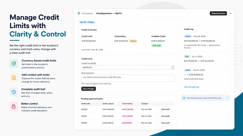 CreditGuard: B2B Credit Limits