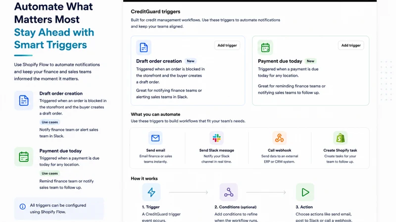 CreditGuard: B2B Credit Limits