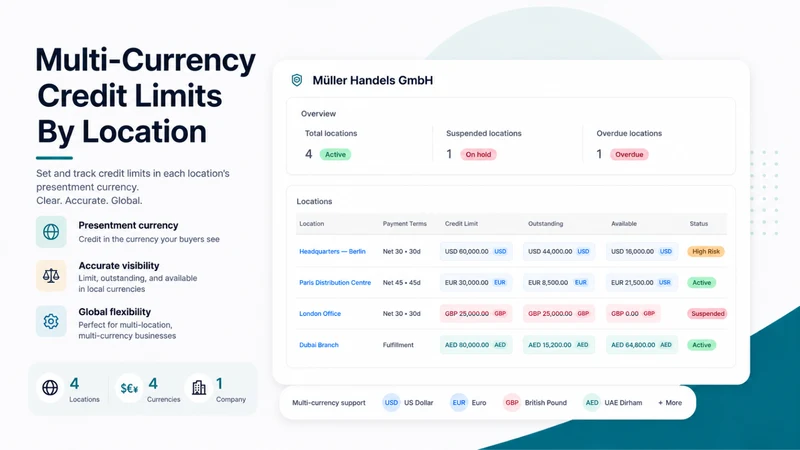CreditGuard: B2B Credit Limits