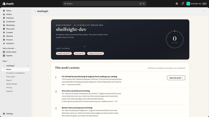 ShelfSight: AI Visibility