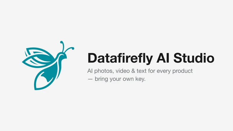 Datafirefly AI Studio