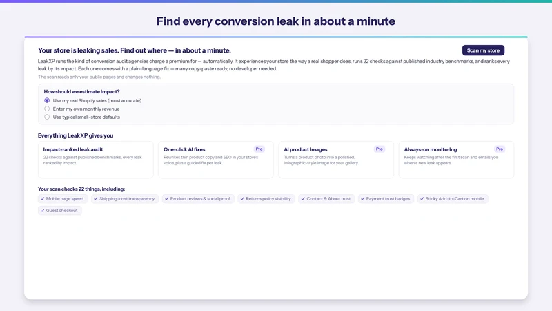 LeakXP: Conversion Audit