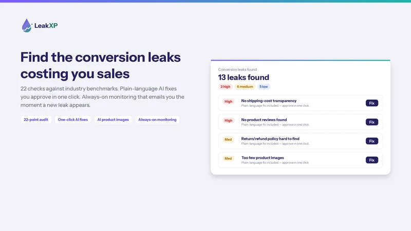 LeakXP: Conversion Audit