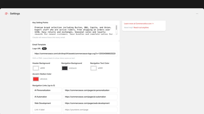 Commerce Ace Email Agent