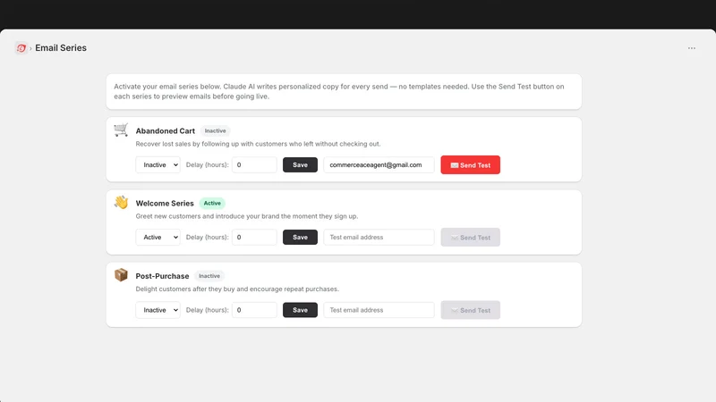 Commerce Ace Email Agent