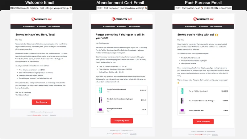 Commerce Ace Email Agent