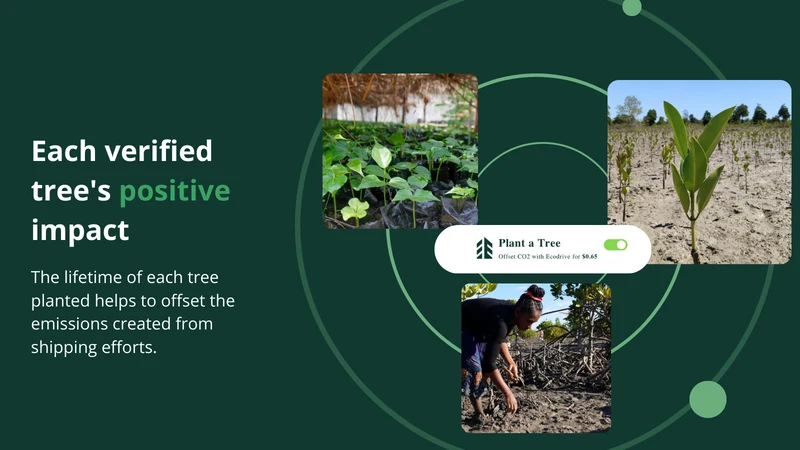 Ecodrive: Plant Verified Trees