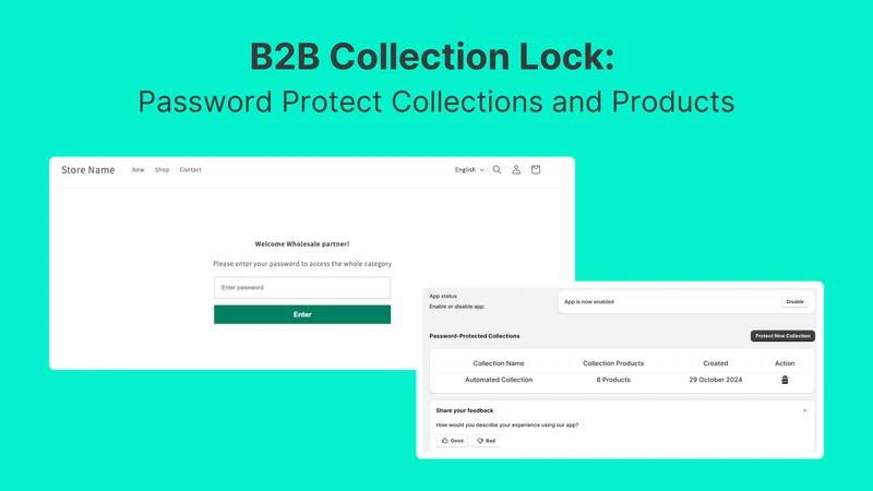 EasyB2B: Password Protection