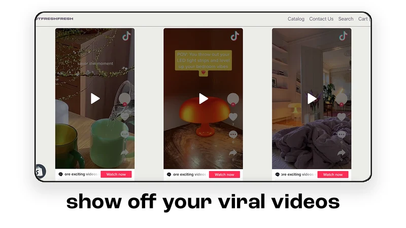 TokFeed ‑ Minimal TikTok Feeds