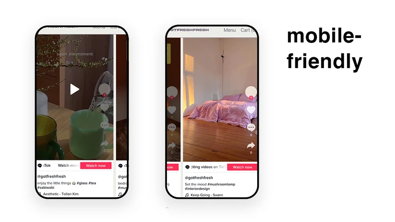 TokFeed ‑ Minimal TikTok Feeds