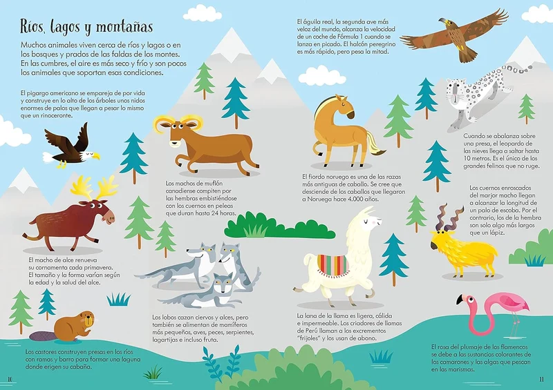 Libro y Puzzle: Animales del mundo