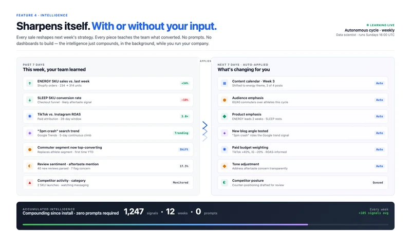 Nimble AI ‑ P&L Optimization