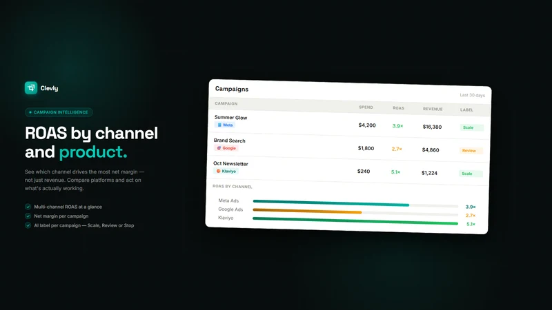 Clevly ‑ AI Business Copilot