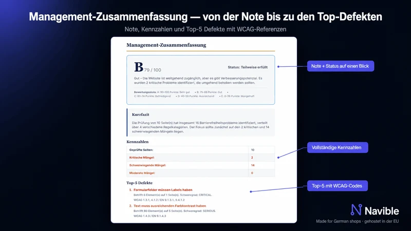 Navible BFSG Scanner