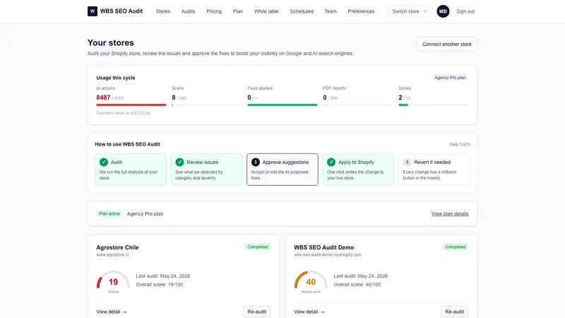 WBS SEO Audit