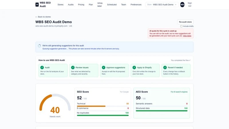 WBS SEO Audit
