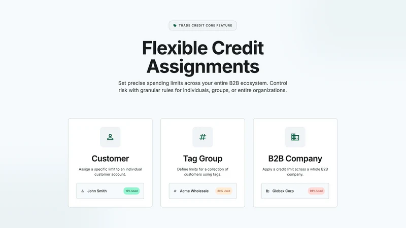 Trade Credit: B2B Credit Limit