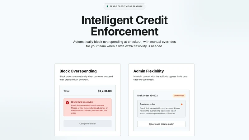 Trade Credit: B2B Credit Limit