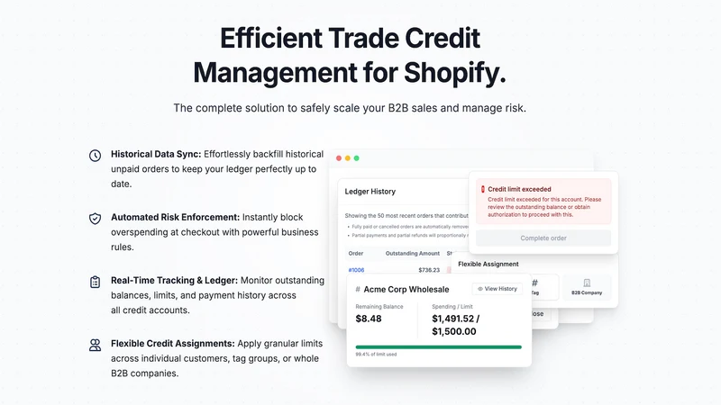 Trade Credit: B2B Credit Limit