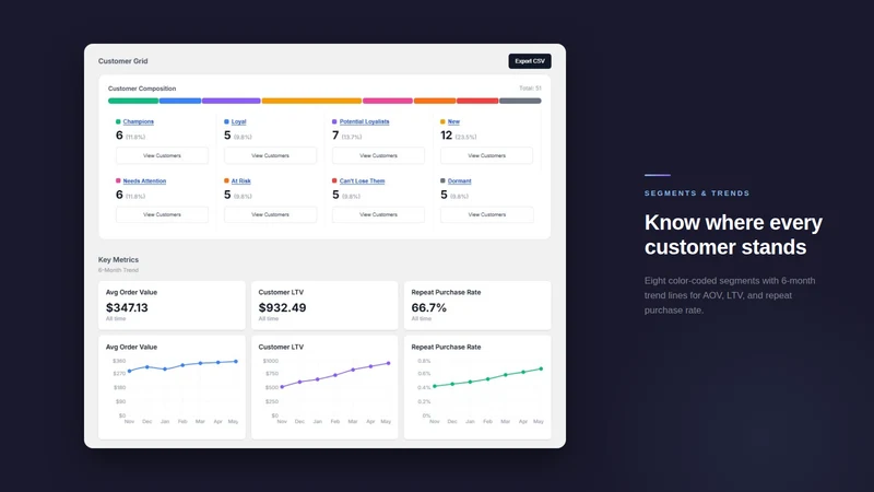 RetainPulse ‒ Segment Insights