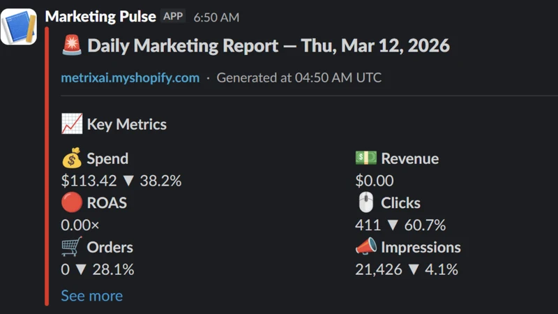 Marketing Pulse ‑ ROAS Tracker