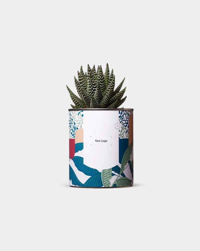Cactus 100% personalizable Diaiwaie