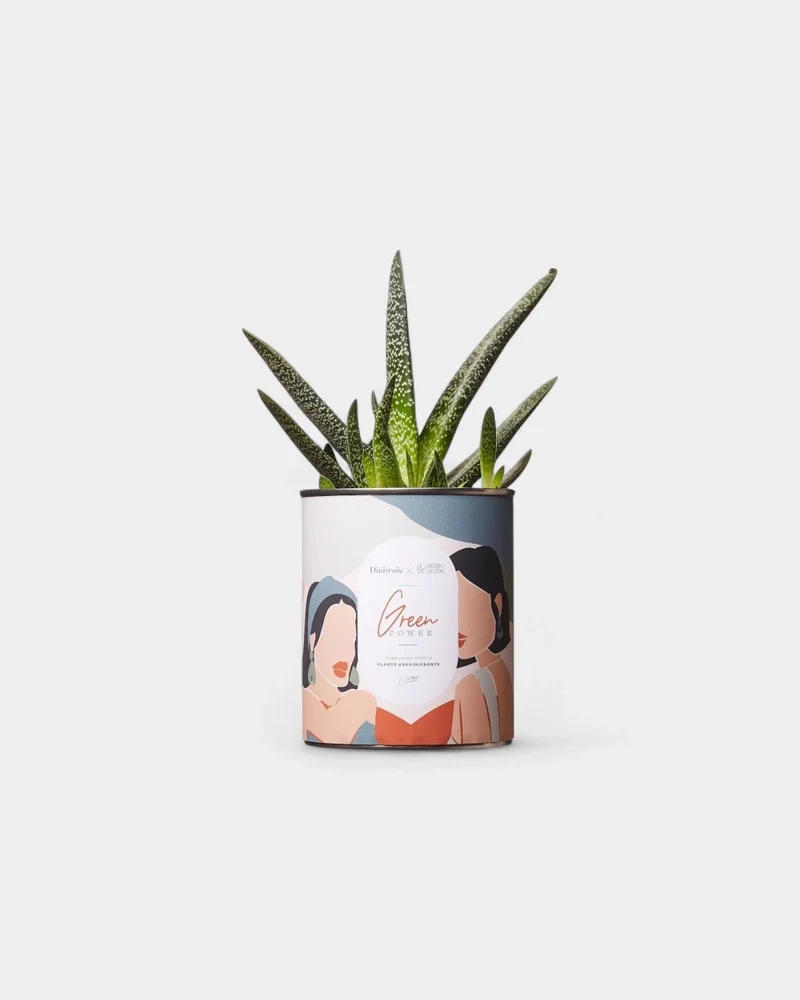 Cactus 100% personalizable Diaiwaie