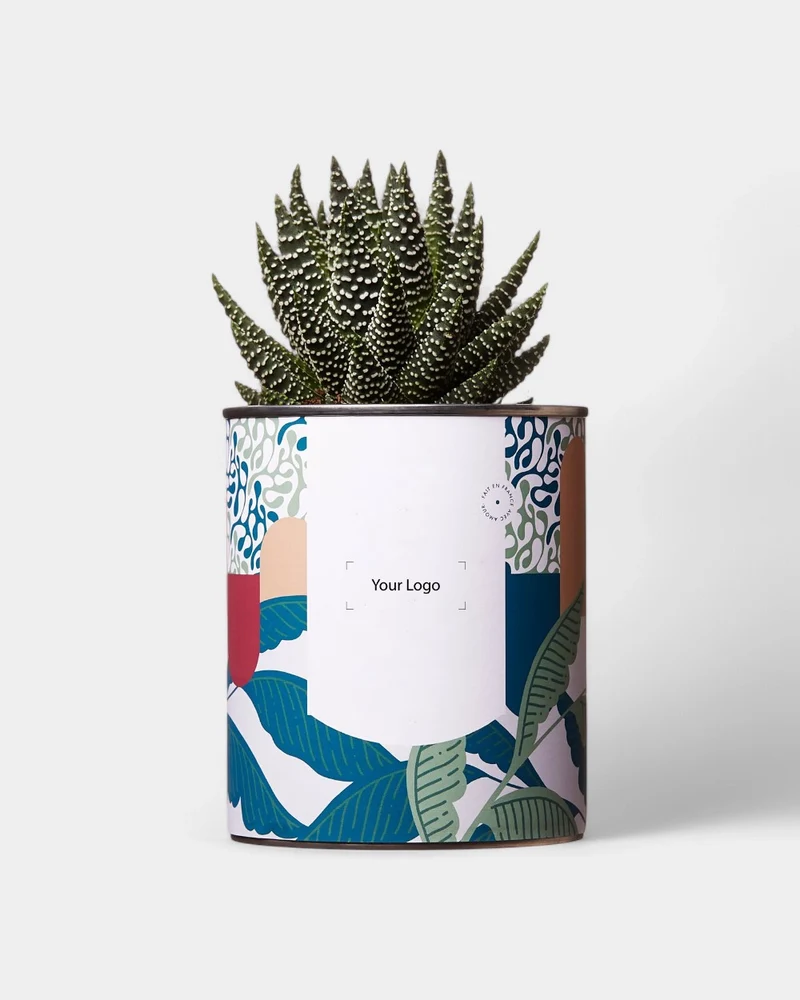 Cactus 100% personalizable Diaiwaie
