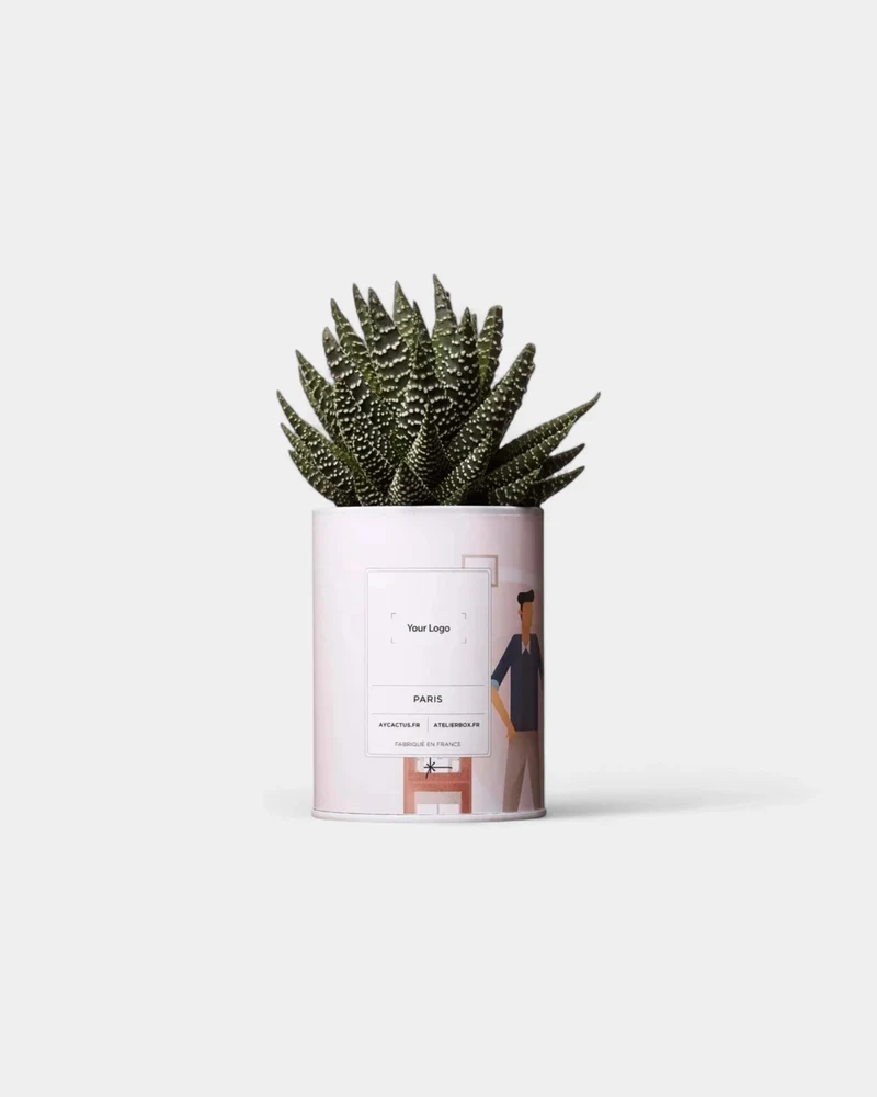 Cactus 100% Personalizable - Ay Cactus