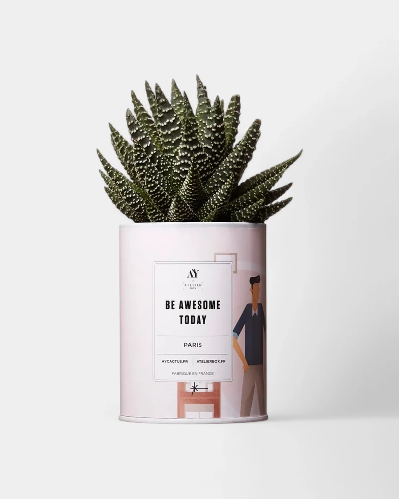 Cactus 100% Personalizable - Ay Cactus