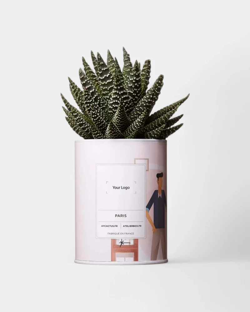 Cactus 100% Personalizable - Ay Cactus