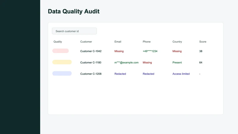 CustomerClean Audit