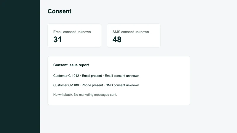 CustomerClean Audit