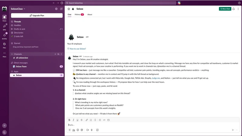 Selzee: AI Ad Generator