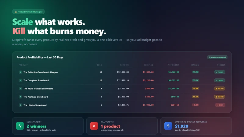 DropProfit ‑ True Profit & ROI
