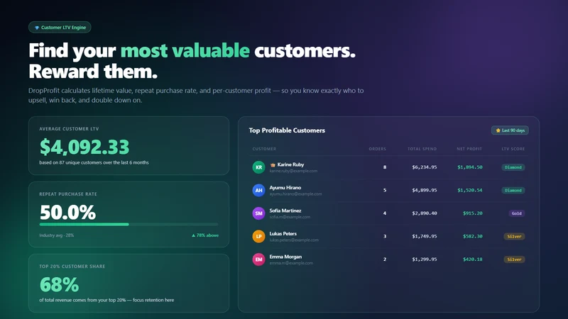 DropProfit ‑ True Profit & ROI