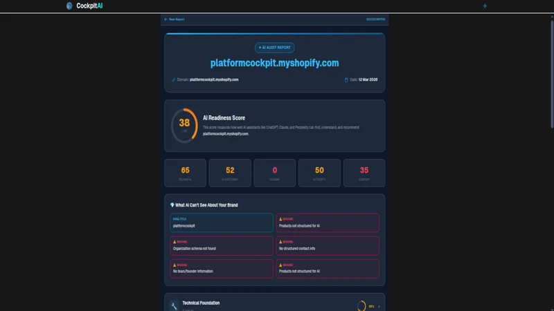 CockpitAI — AI Readiness Audit