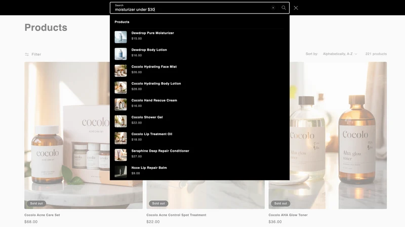 Queryra – AI Semantic Search